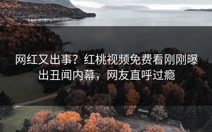 网红又出事？红桃视频免费看刚刚曝出丑闻内幕，网友直呼过瘾